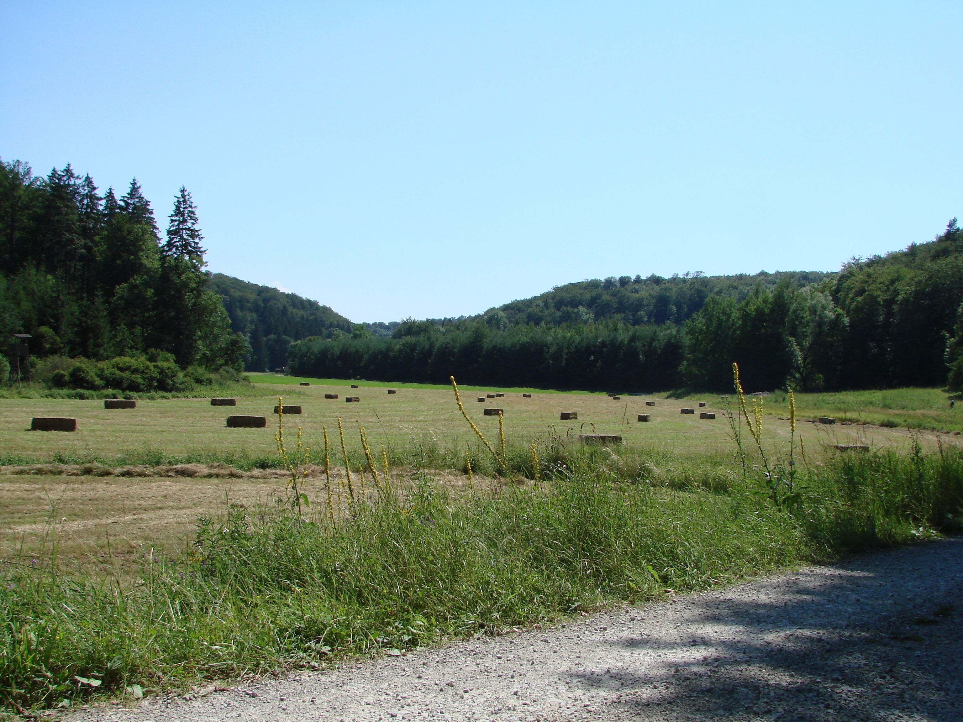 A rural landscape with hay bales in a field, surrounded by forested hills.