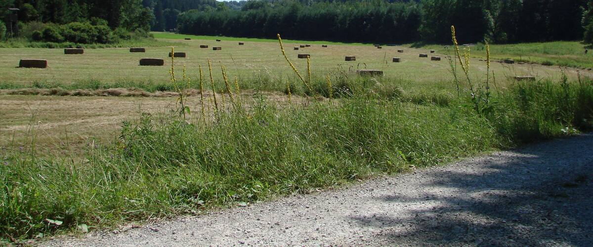 A rural landscape with hay bales in a field, surrounded by forested hills.