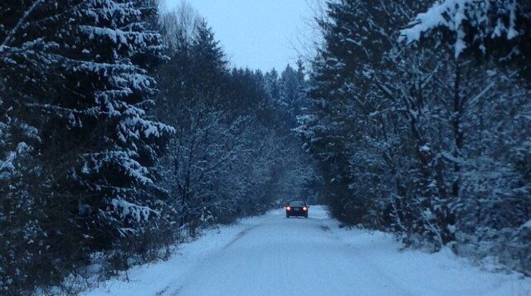 Durch den Ebersberger Forst