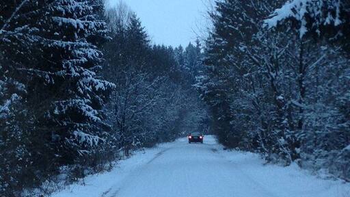 Durch den Ebersberger Forst