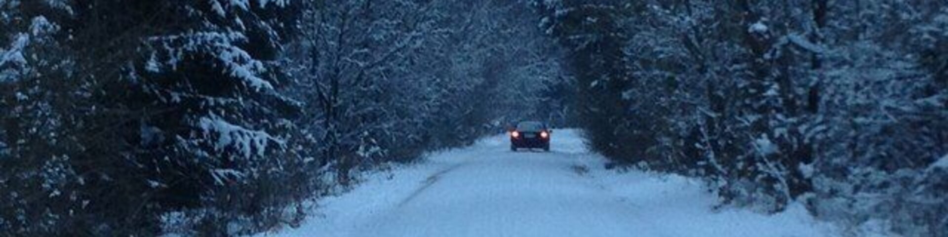 Durch den Ebersberger Forst