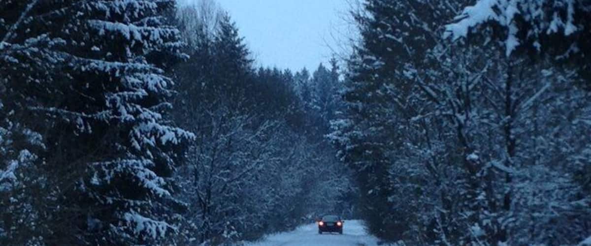 A snow-covered road flanked by trees.