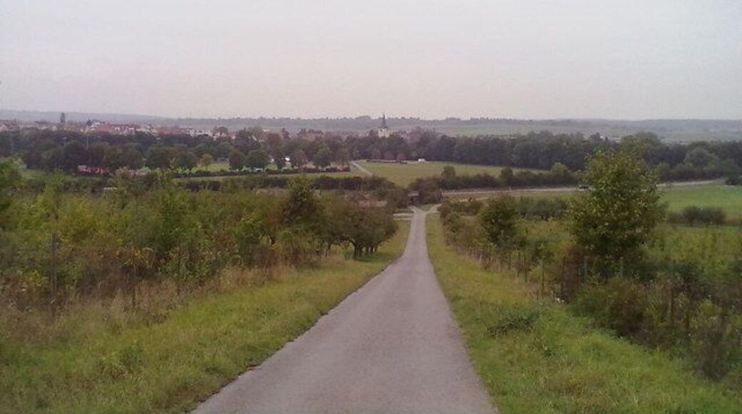 Feldweg und Blick auf Murr
