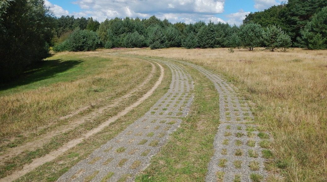 Kolonnenweg an der ehemaligen innerdeutsche Grenze bei Menzendorf