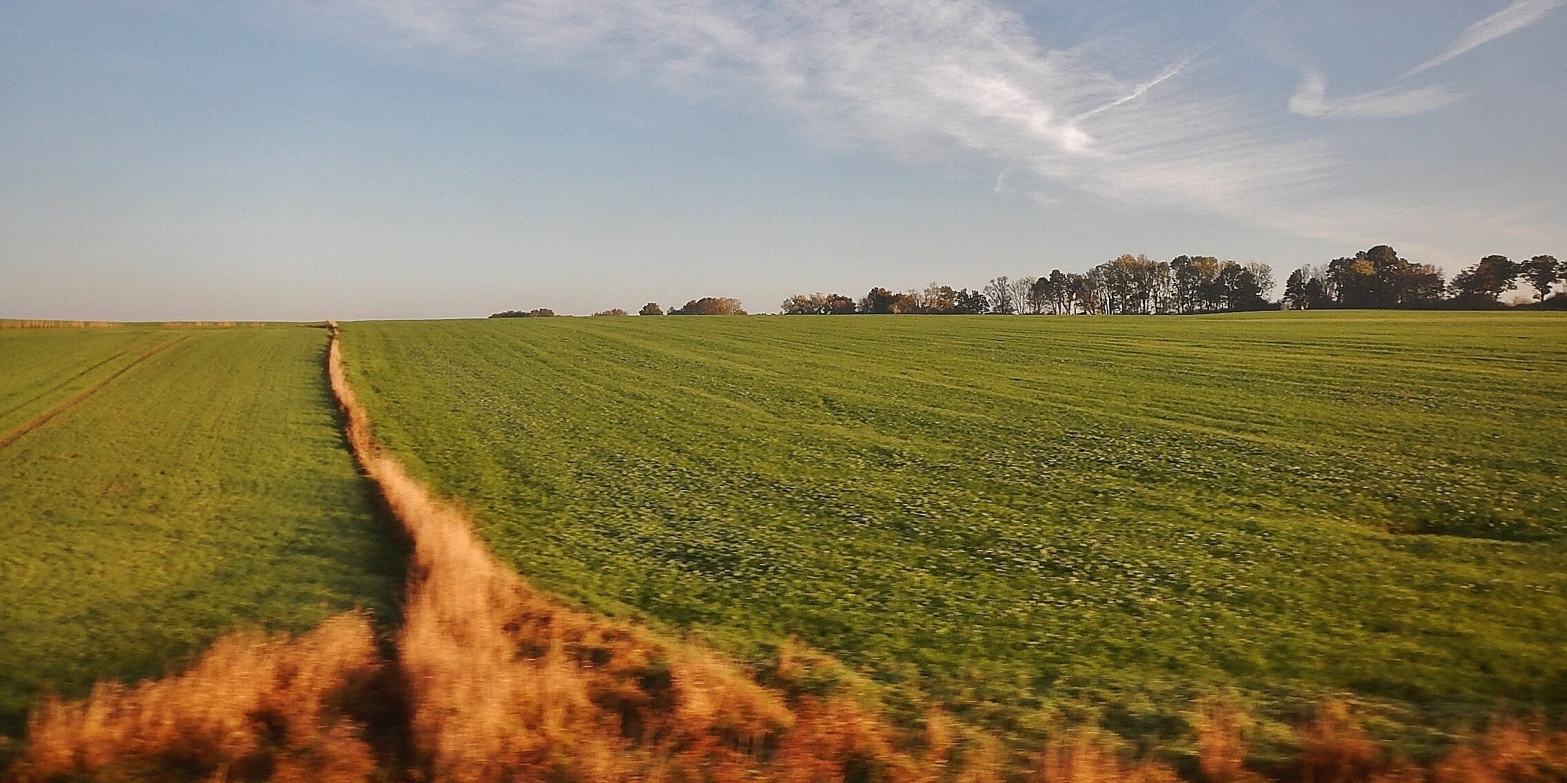 Ausblick aus der Eisenbahn