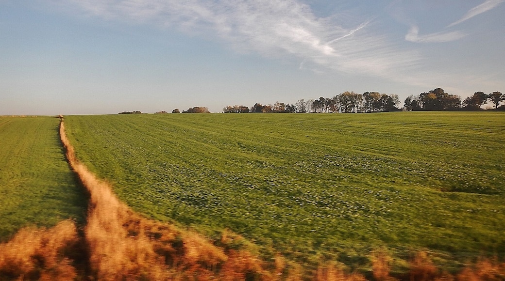 Ausblick aus der Eisenbahn