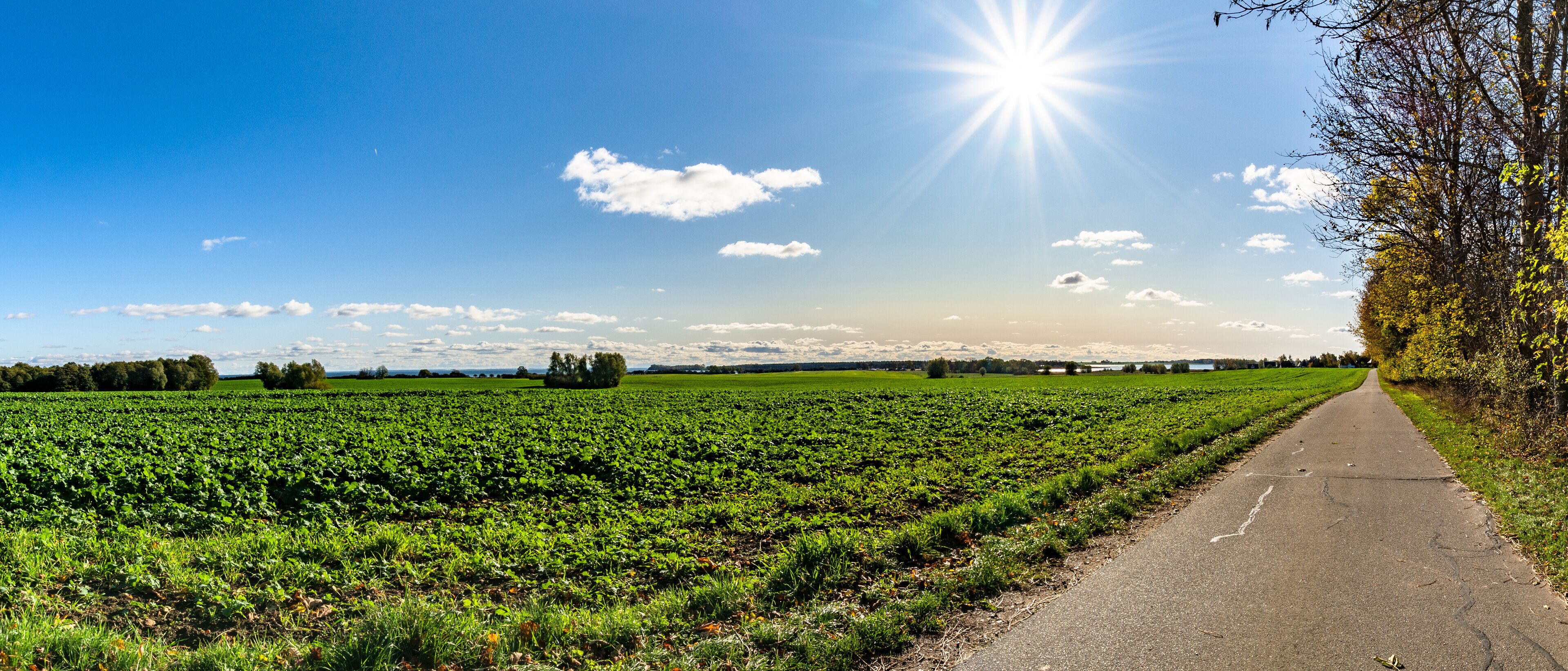 A rural landscape with a paved path, green fields, and a clear sky with the sun shining.