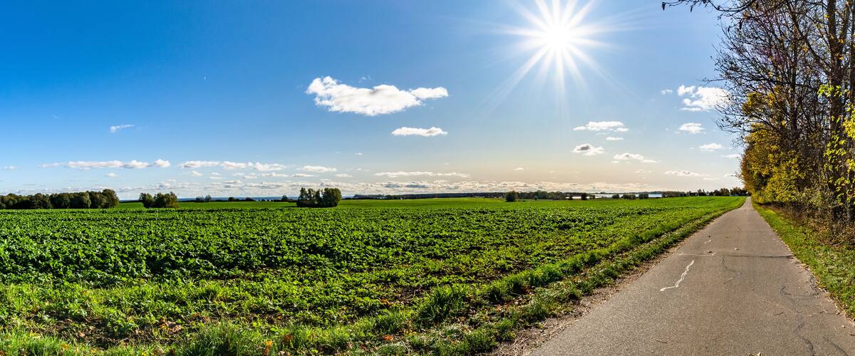 A rural landscape with a paved path, green fields, and a clear sky with the sun shining.