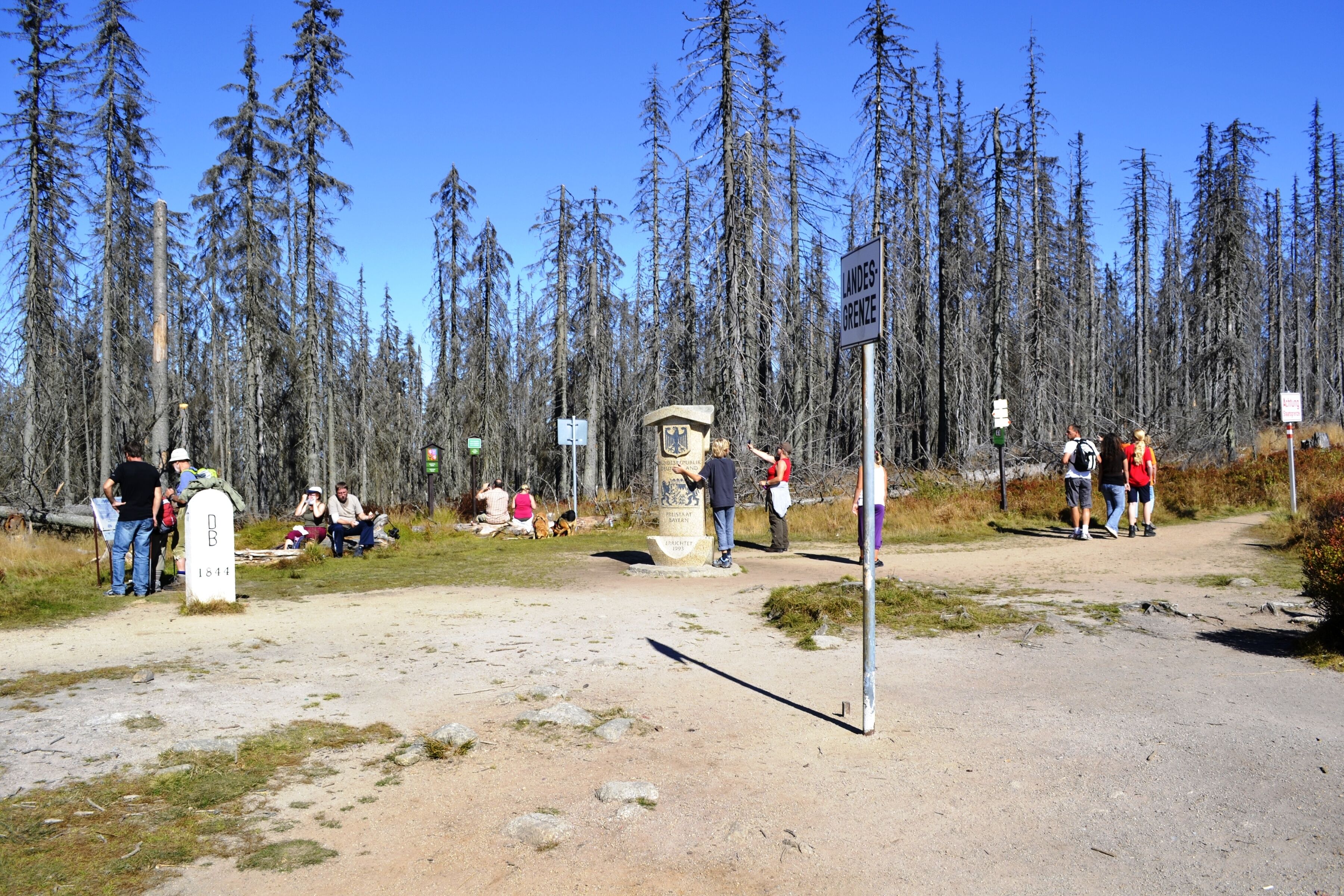 A forested area with a sign reading "LANDES GRENZE" and a monument.