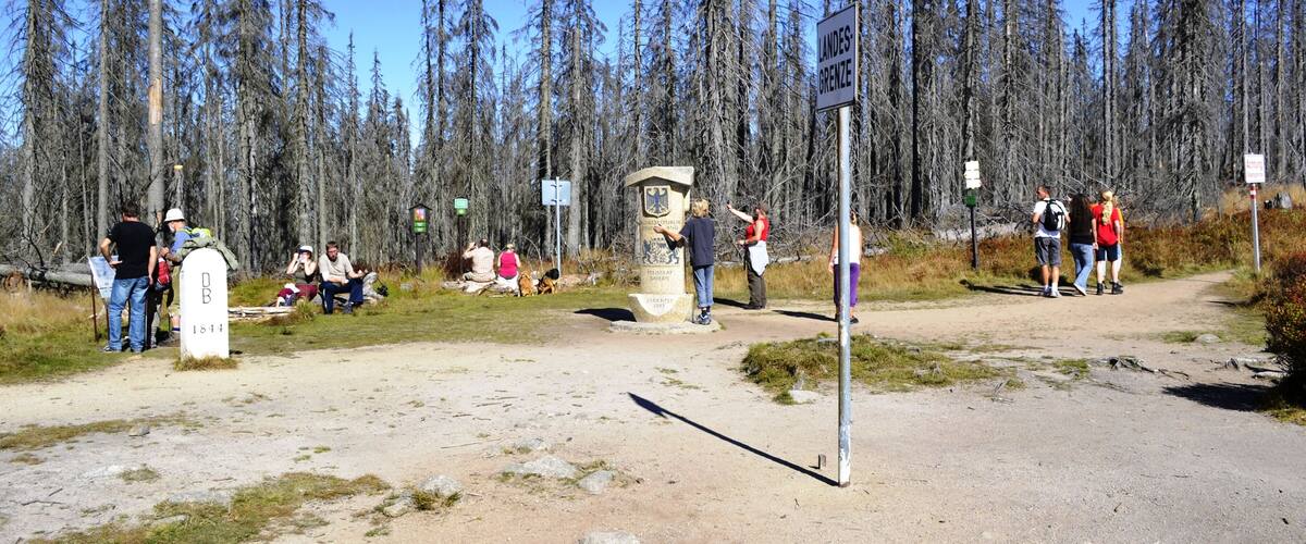 A forested area with a sign reading "LANDES GRENZE" and a monument.