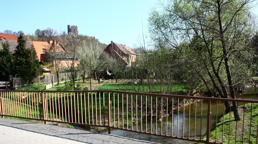 die Eine in Harkerode, im Hintergrund der Arnstein