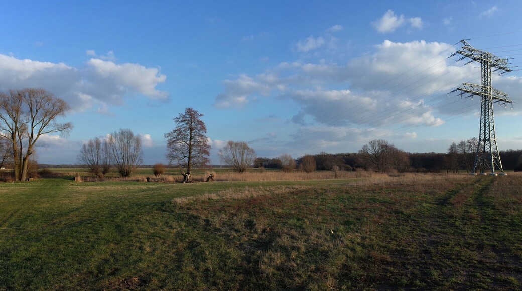 Stadt Raguhn-Jeßnitz, Ortsteil Schierau, Flächenhaftes Naturdenkmal Stillingsbereich (Freileitung); 110-kV-Freileitung.