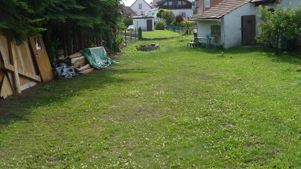 Ein grünes Rasenstück mit einem Holzzaun, einem Baum und Häusern im Hintergrund.
