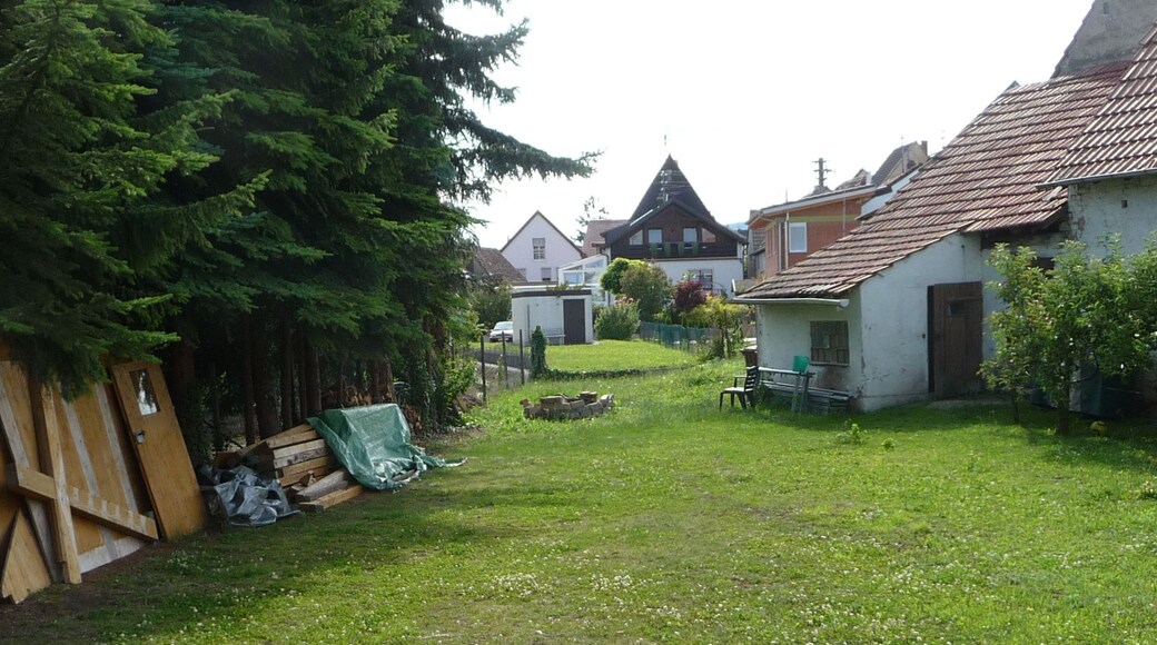 Stadtzentrum Walsheim