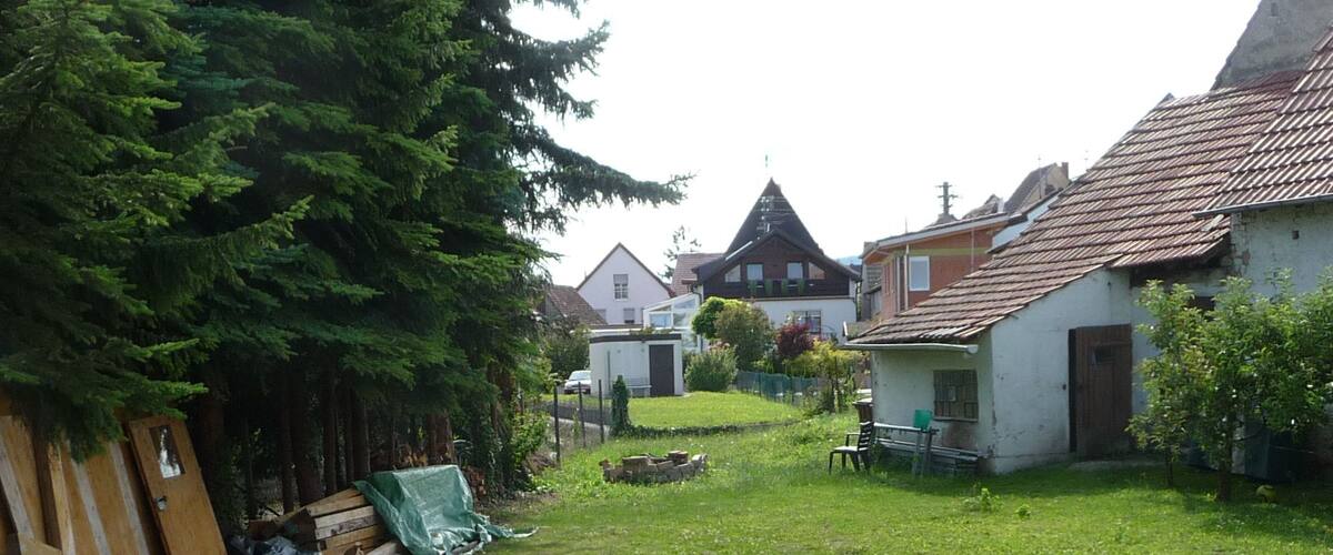 A grassy yard with a wooden fence, a tree, and houses in the background.