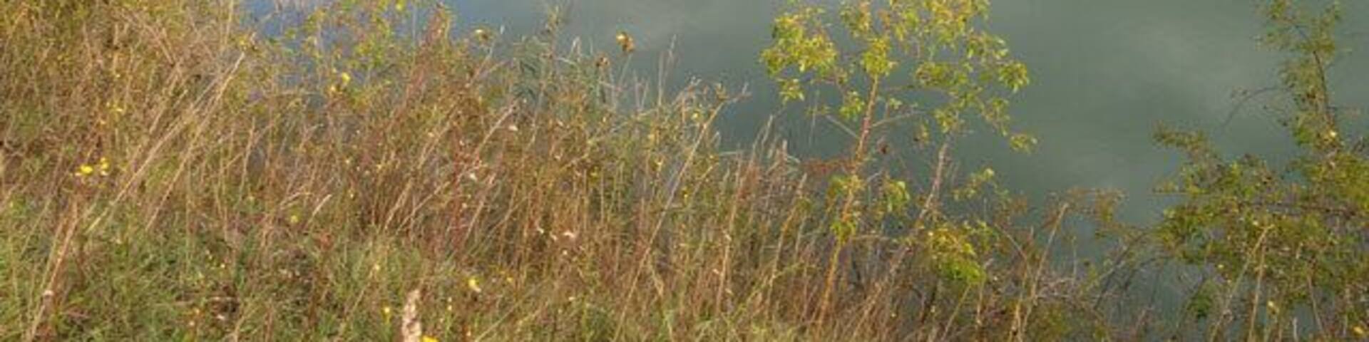 Ehemalige Eisenerzgrube, Rottorf