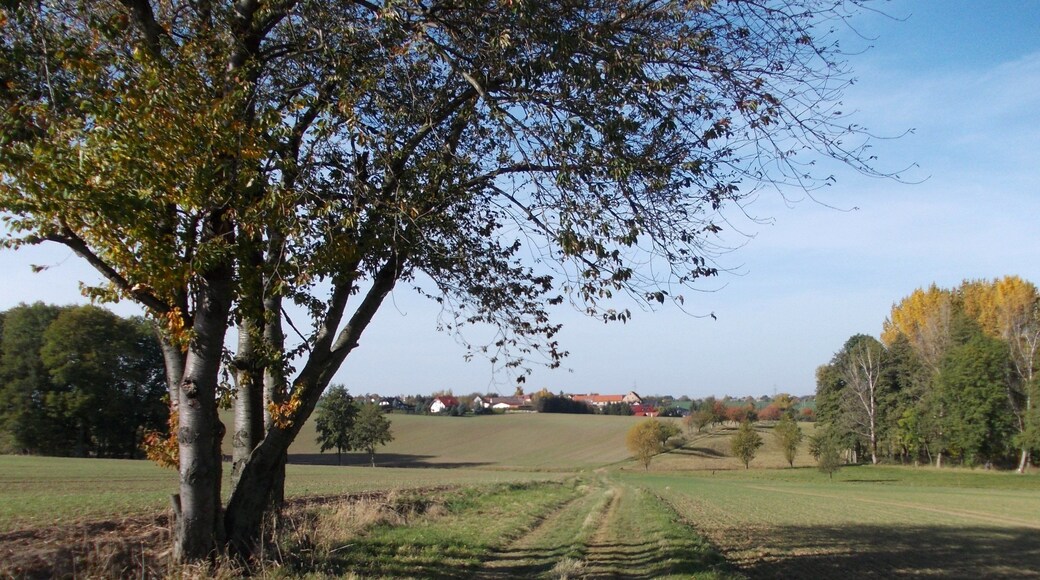 Landscape to the south of the village of Zetzschdorf (Gutenborn, district of Burgenlandkreis, Saxony-Anhalt)