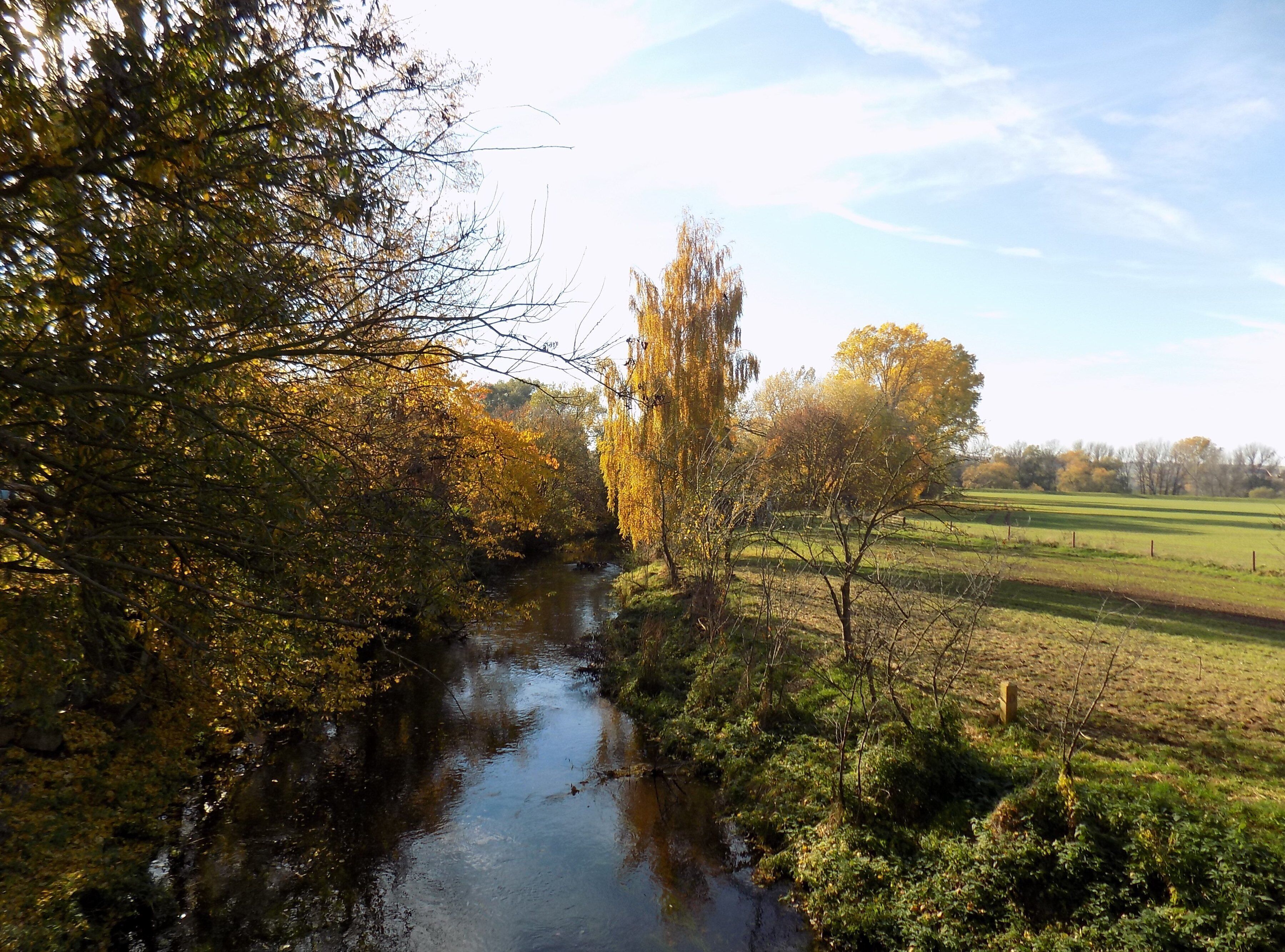 Mühlgraben, a branch of the Weisse Elster river, in Grossosida (Gutenborn, district: Burgenlandkreis, Saxony-Anhalt)