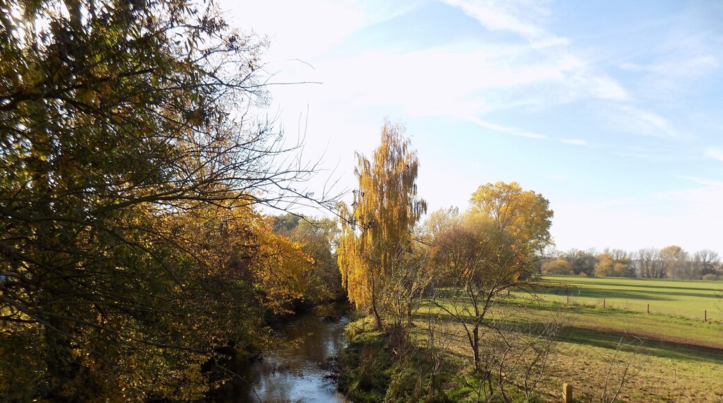 Mühlgraben, a branch of the Weisse Elster river, in Grossosida (Gutenborn, district: Burgenlandkreis, Saxony-Anhalt)