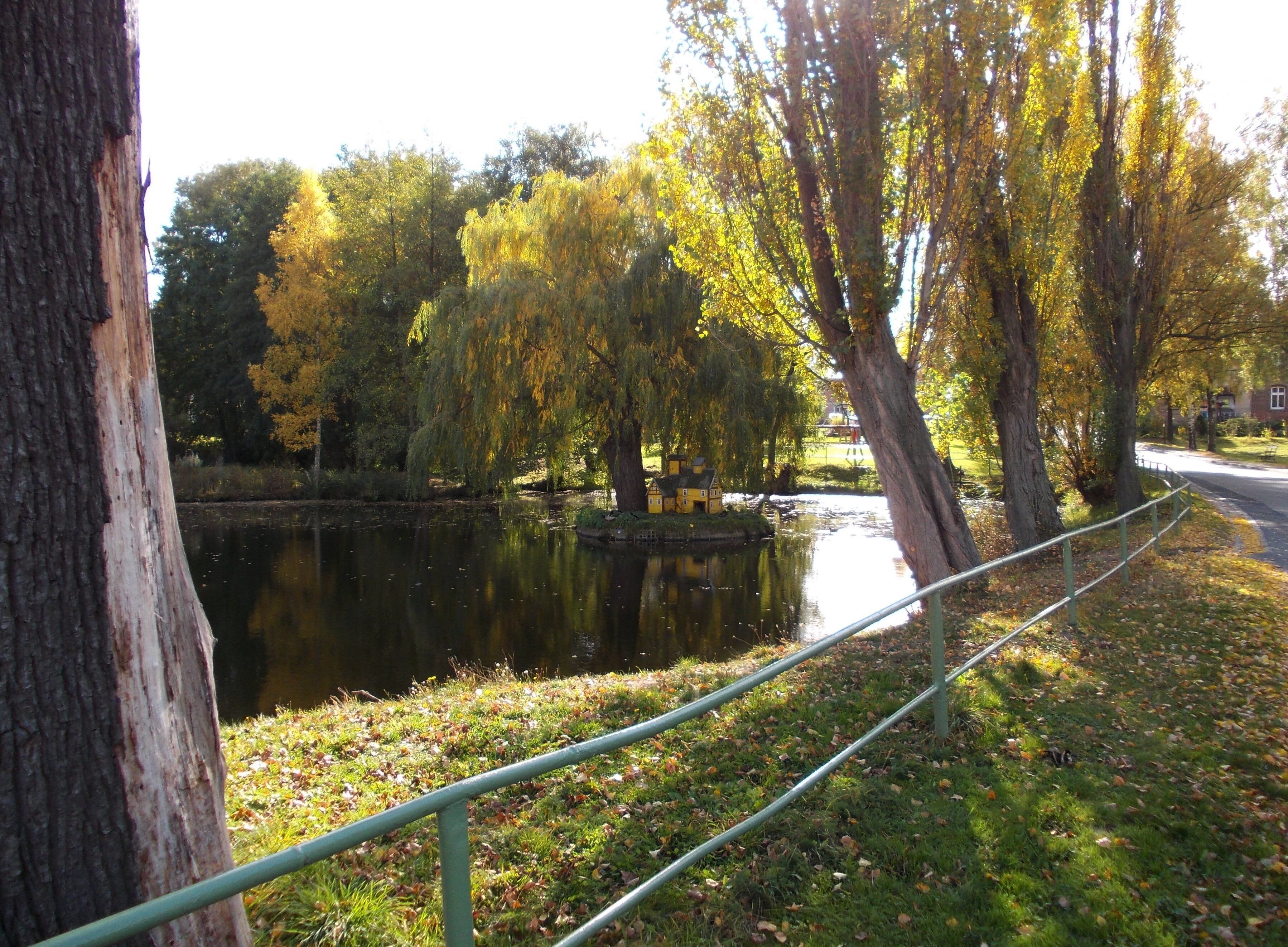Pond in Rippicha (Gutenborn, district of Burgenlandkreis, Saxony-Anhalt)
