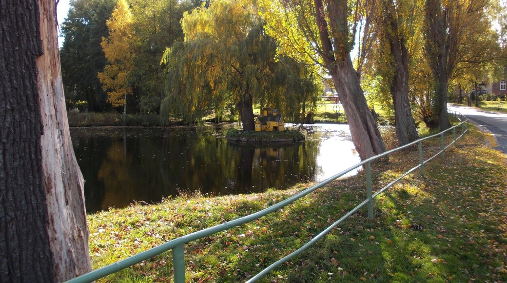 Pond in Rippicha (Gutenborn, district of Burgenlandkreis, Saxony-Anhalt)