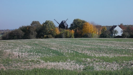 Post mill in Heuckewalde (Gutenborn, district of Burgenlandkreis, Saxony-Anhalt)