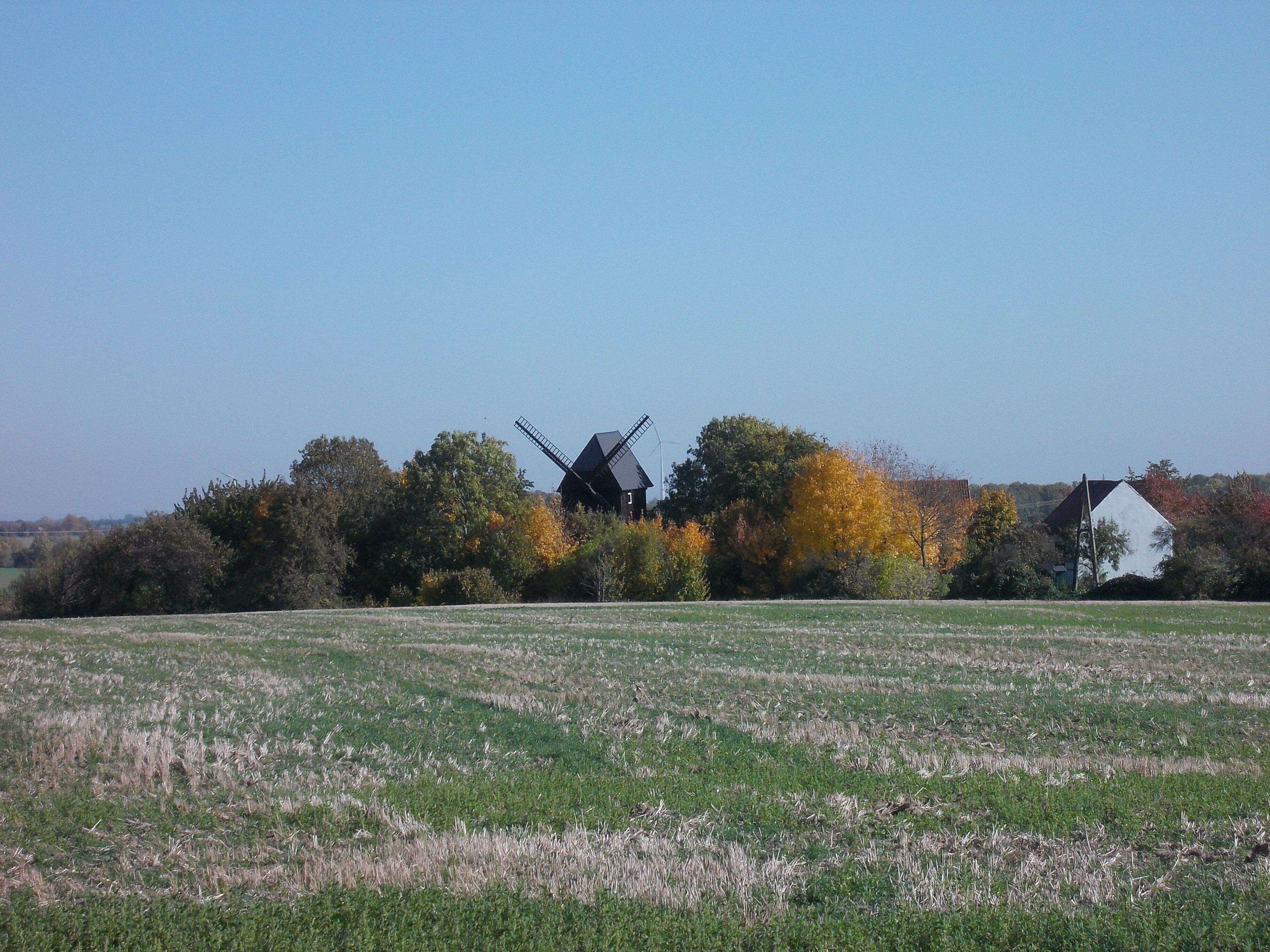 A windmill, a white house, and autumn trees in a field.