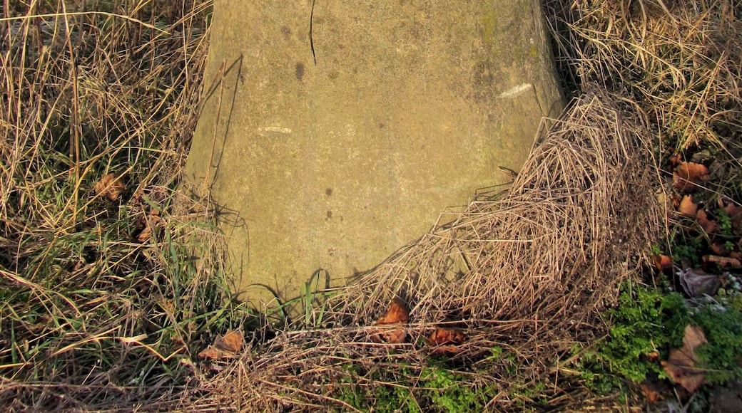 Preußischer Halbmeilenstein an der B 2 Höhe Loitzschütz