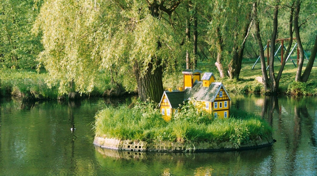 Rippicha (Gutenborn), the village pond