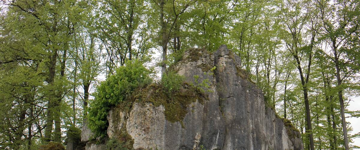 A large rock formation surrounded by trees and greenery.