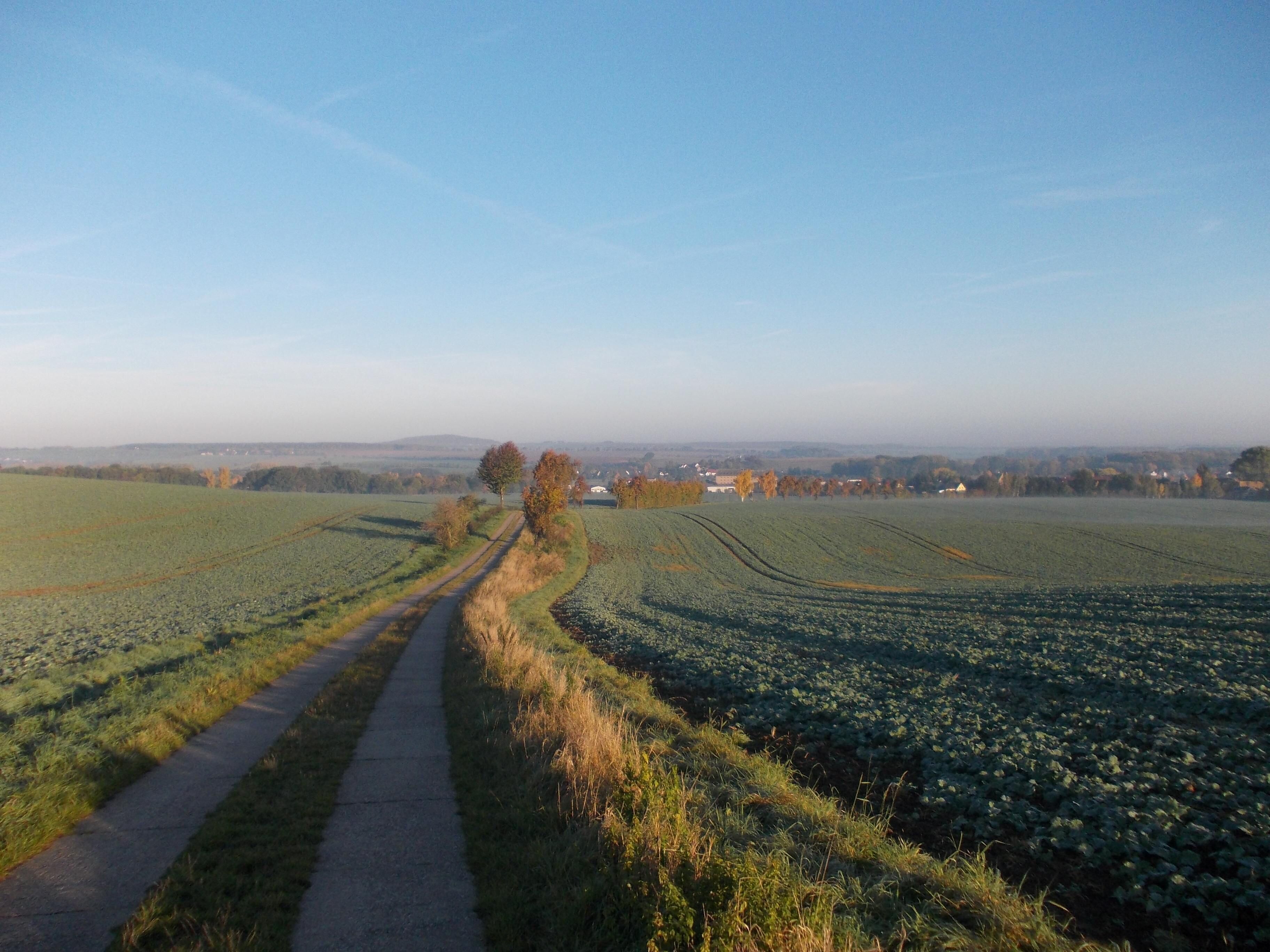 Landscape near Niedergoseln (Mügeln, Nordsachsen district, Saxony)