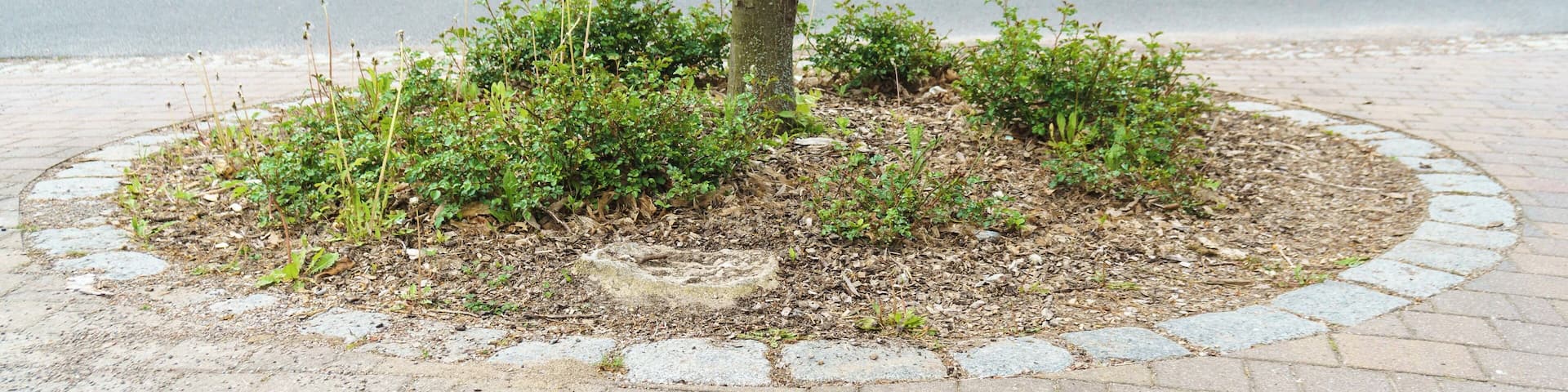 This media shows the protected monument of Saxony with the ID 08965735 KDSa/08965735(other).