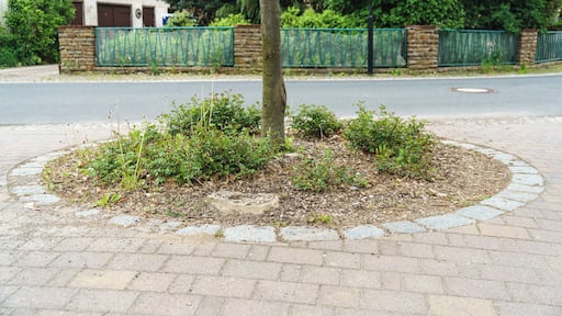 This media shows the protected monument of Saxony with the ID 08965735 KDSa/08965735(other).