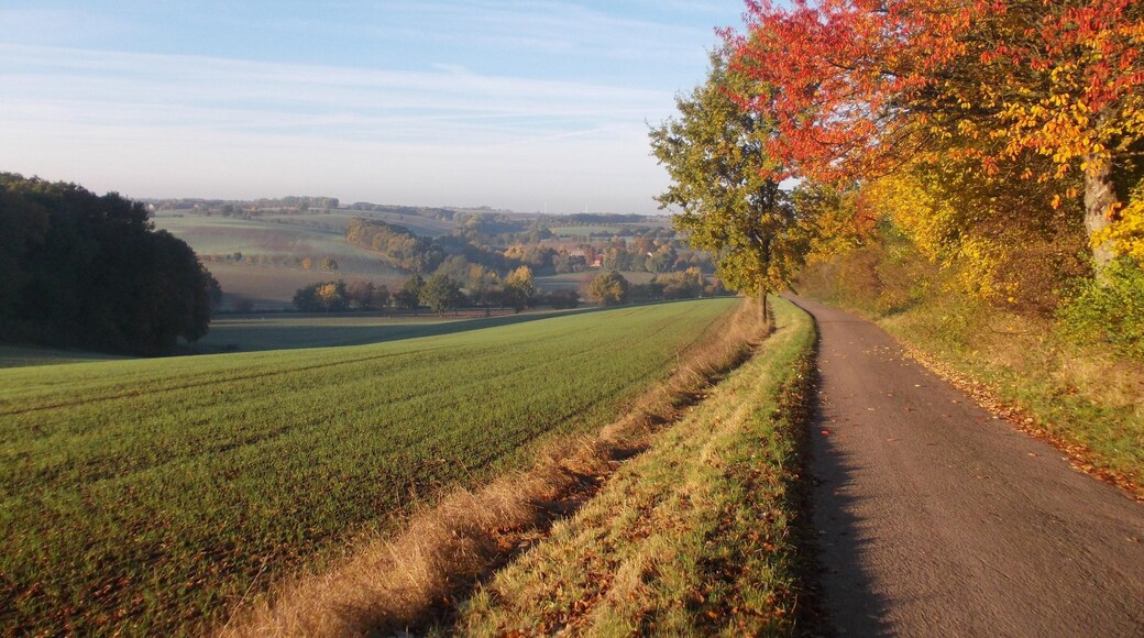 Landscape near Lüttnitz (Mügeln, Nordsachsen district, Saxony)