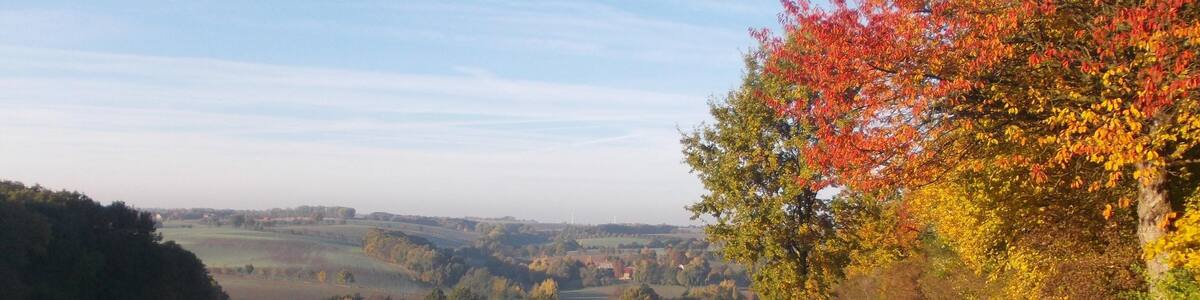 Landscape near Lüttnitz (Mügeln, Nordsachsen district, Saxony)