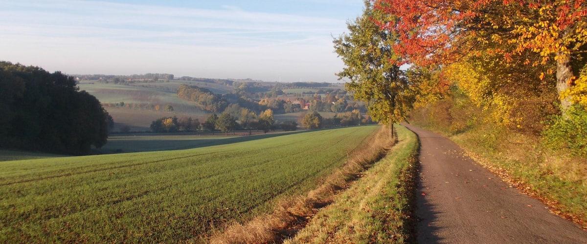 Landscape near Lüttnitz (Mügeln, Nordsachsen district, Saxony)