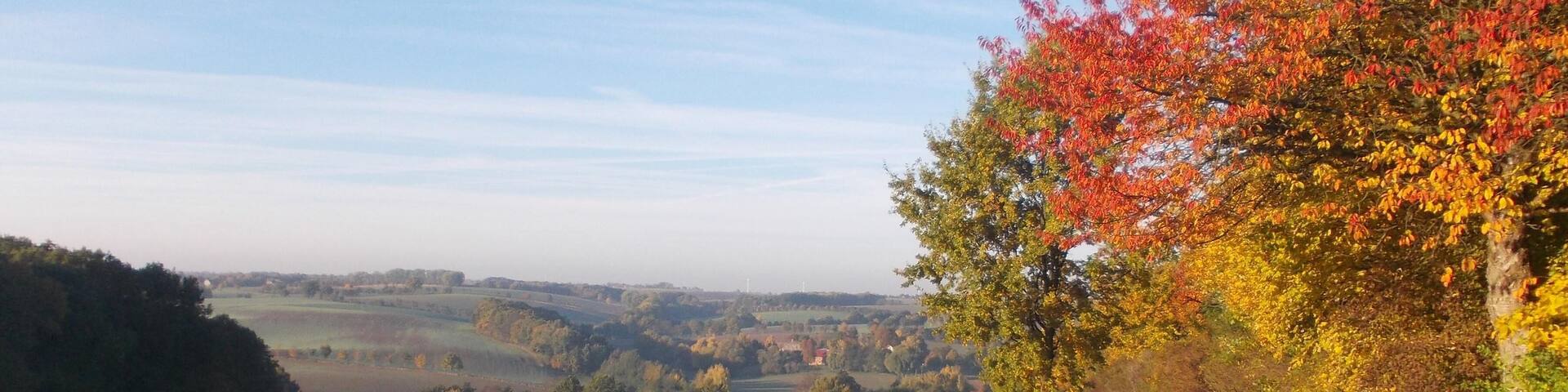 Landscape near Lüttnitz (Mügeln, Nordsachsen district, Saxony)