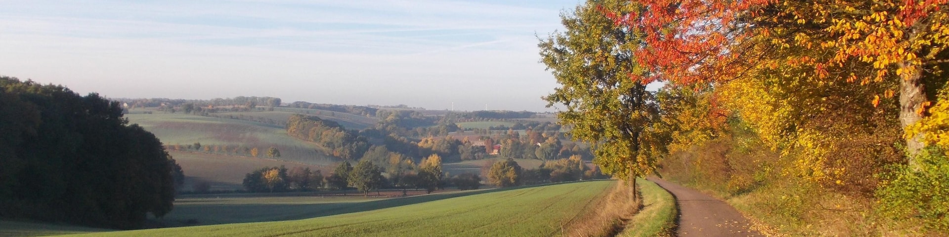 Landscape near LĂŒttnitz (MĂŒgeln, Nordsachsen district, Saxony)