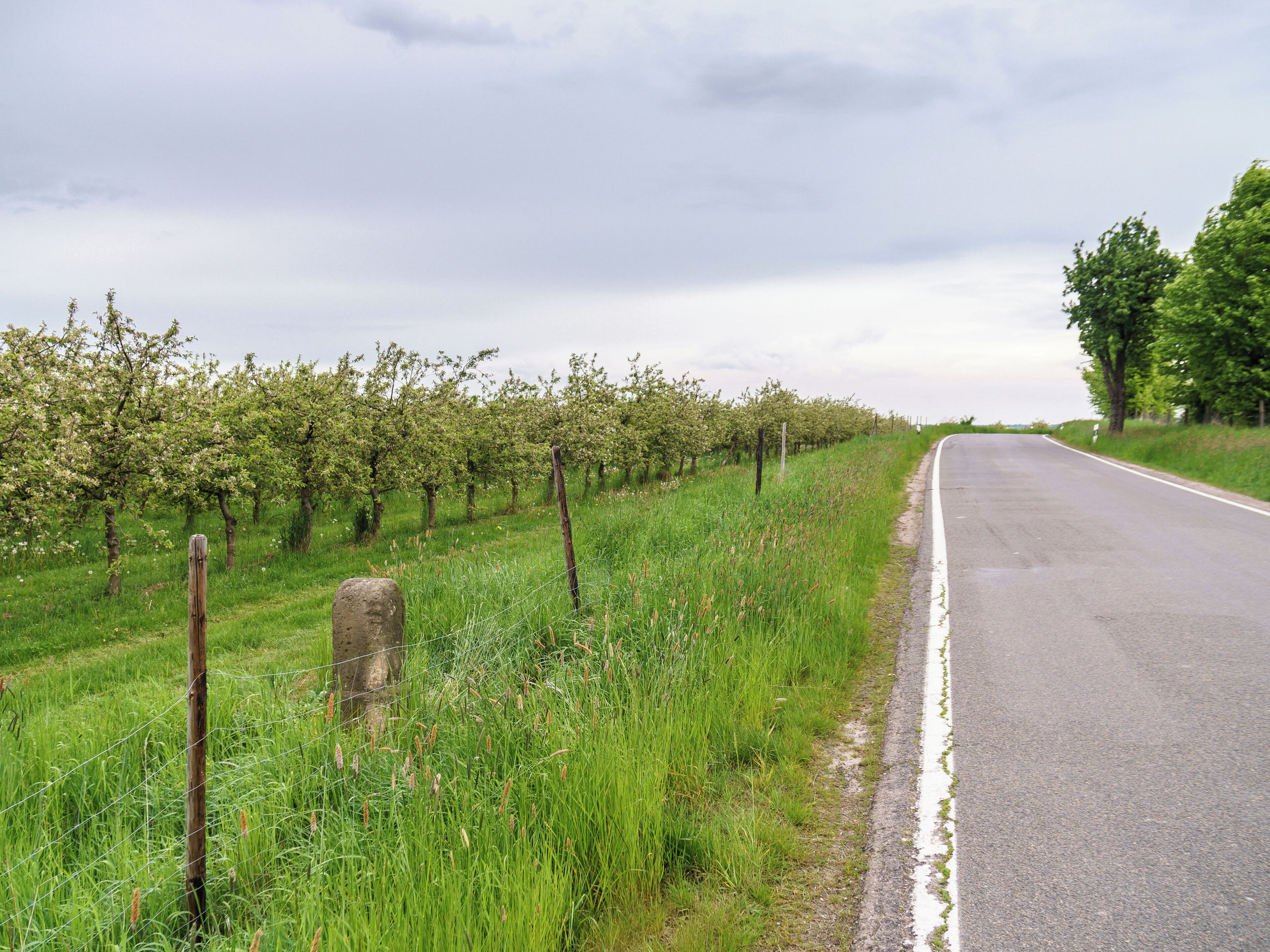This media shows the protected monument of Saxony with the ID 08974840 KDSa/08974840(other).