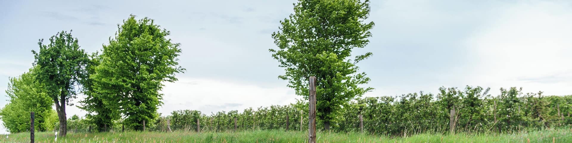 This media shows the protected monument of Saxony with the ID 08974840 KDSa/08974840(other).