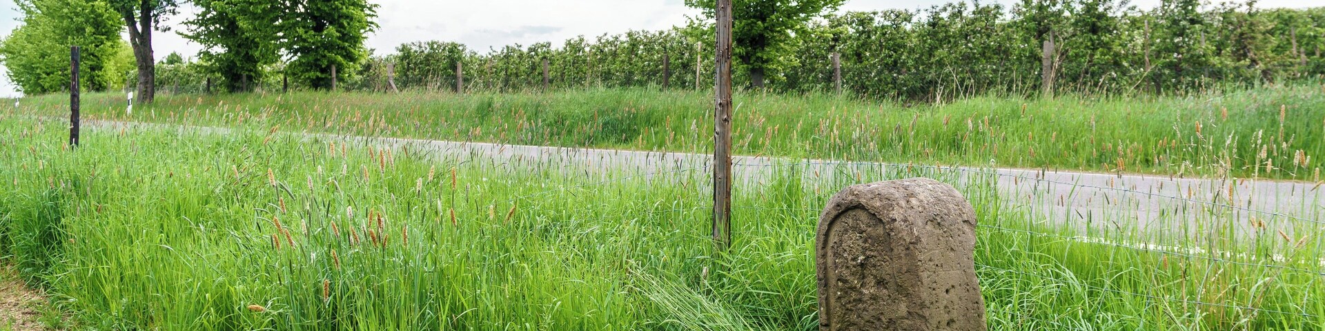 This media shows the protected monument of Saxony with the ID 08974840 KDSa/08974840(other).