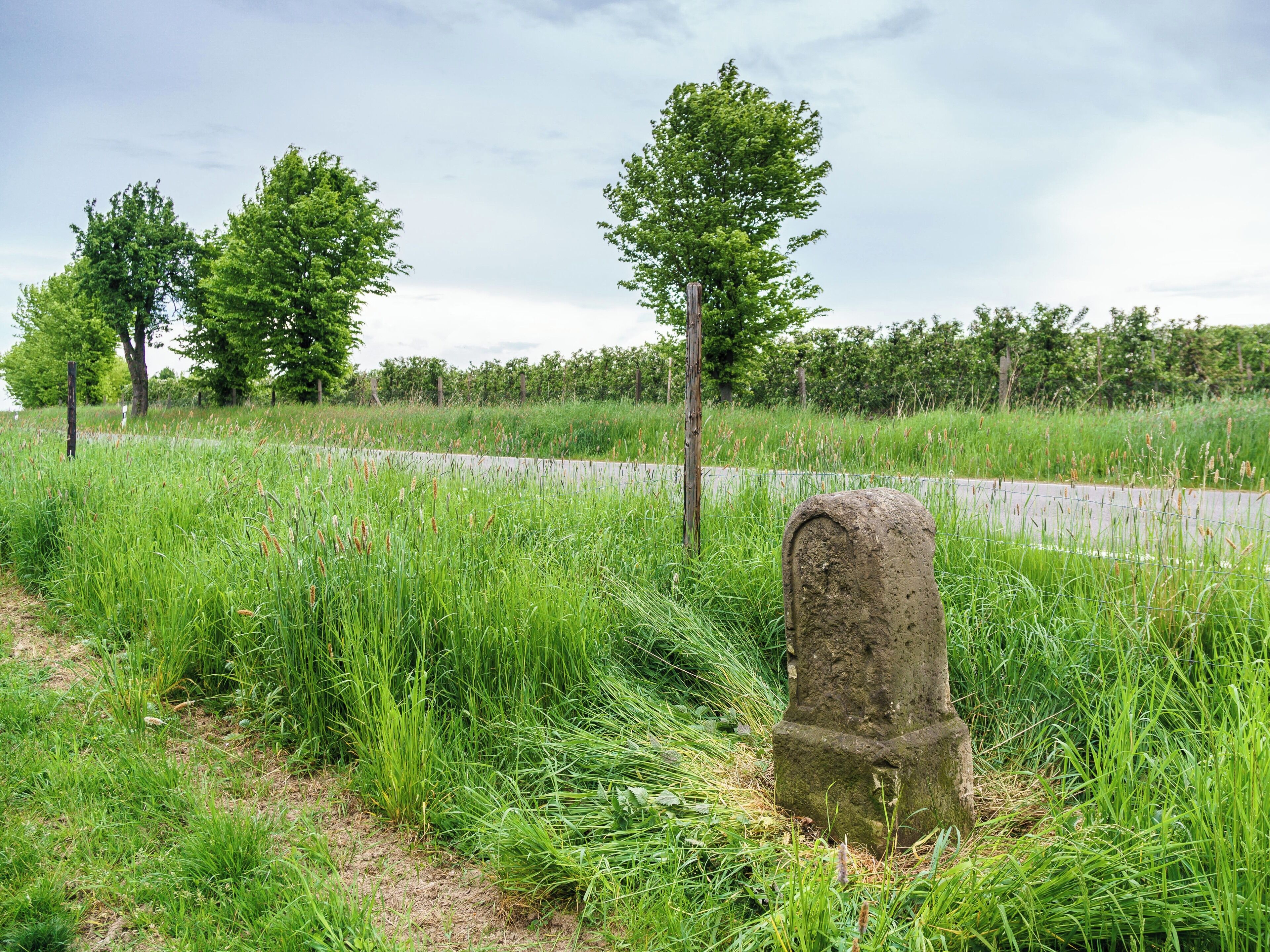 A grassy area with a stone monument and trees.