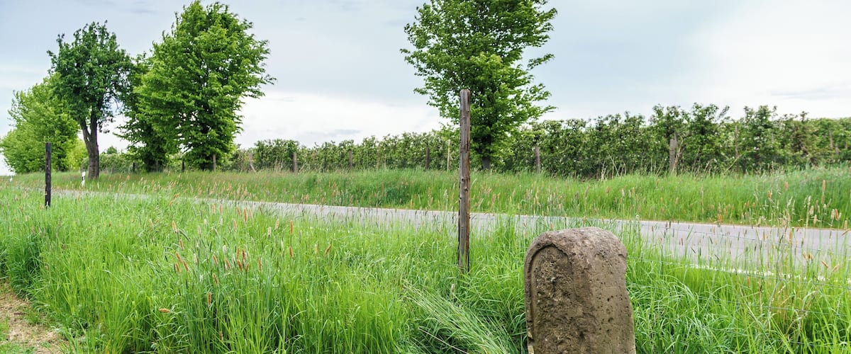 A grassy area with a stone monument and trees.