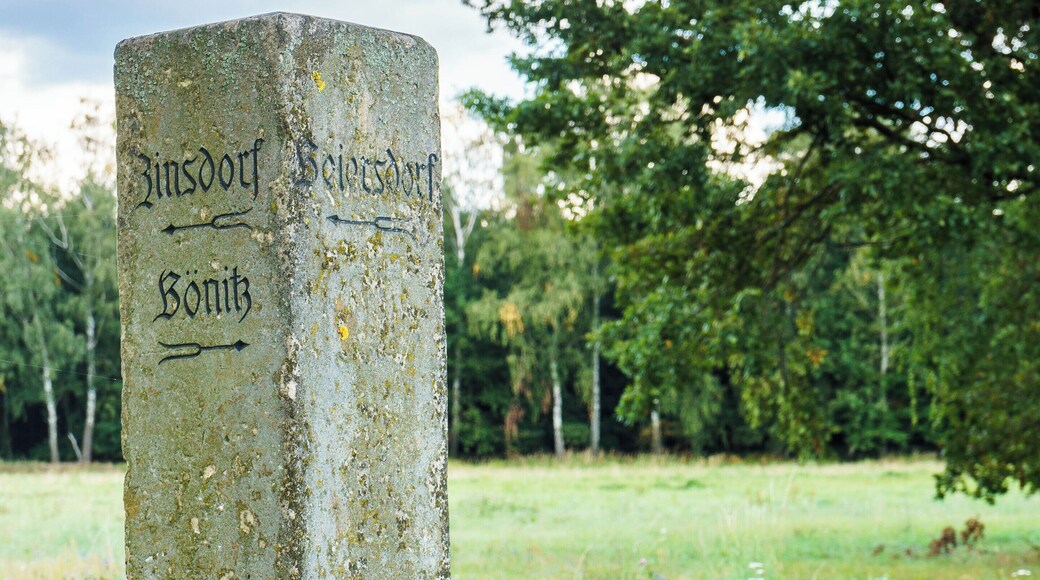 Wegestein an der K 6215 am Abzweig Beiersdorfer Straße in Uebigau-Wahrenbrück OT Zinsdorf. Text: Beiersdorf ; Zinsdorf ; Bönitz ; Richtungsweiser