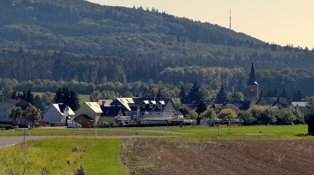 Blick über Dichtelbach zm Soonwald