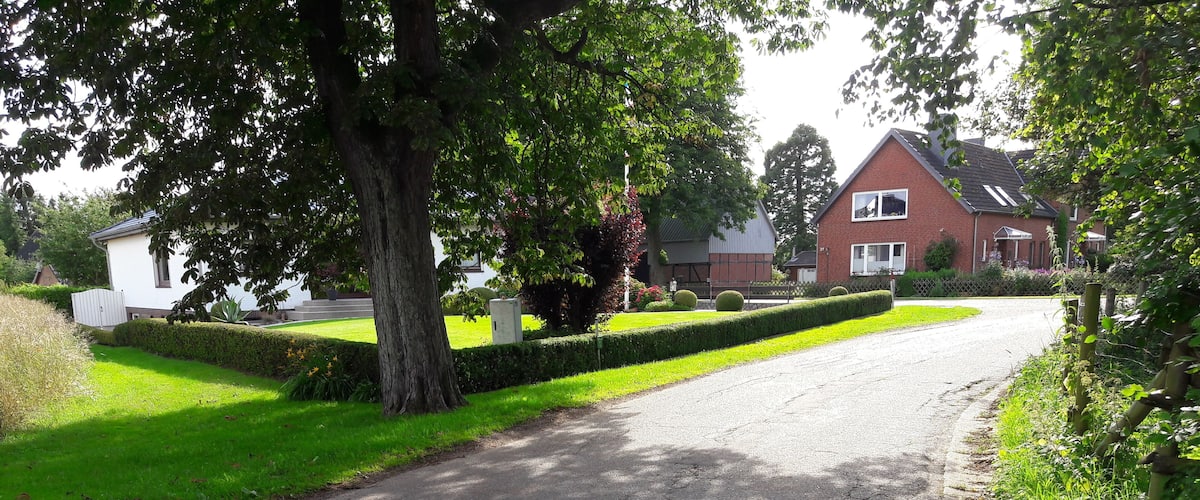 A residential street with a tree-lined road, a brick house, and a well-maintained lawn.