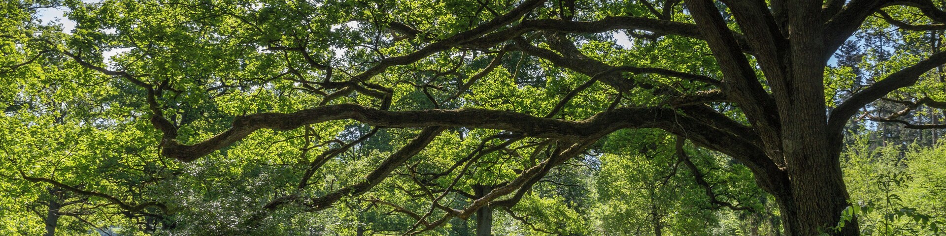 Mühlschlag Anger, Geschützter Landschaftsbestandteil, LSG Ausweisung des LSG Südlicher Jura mit Moritzberg und Umgebung, Engelthal