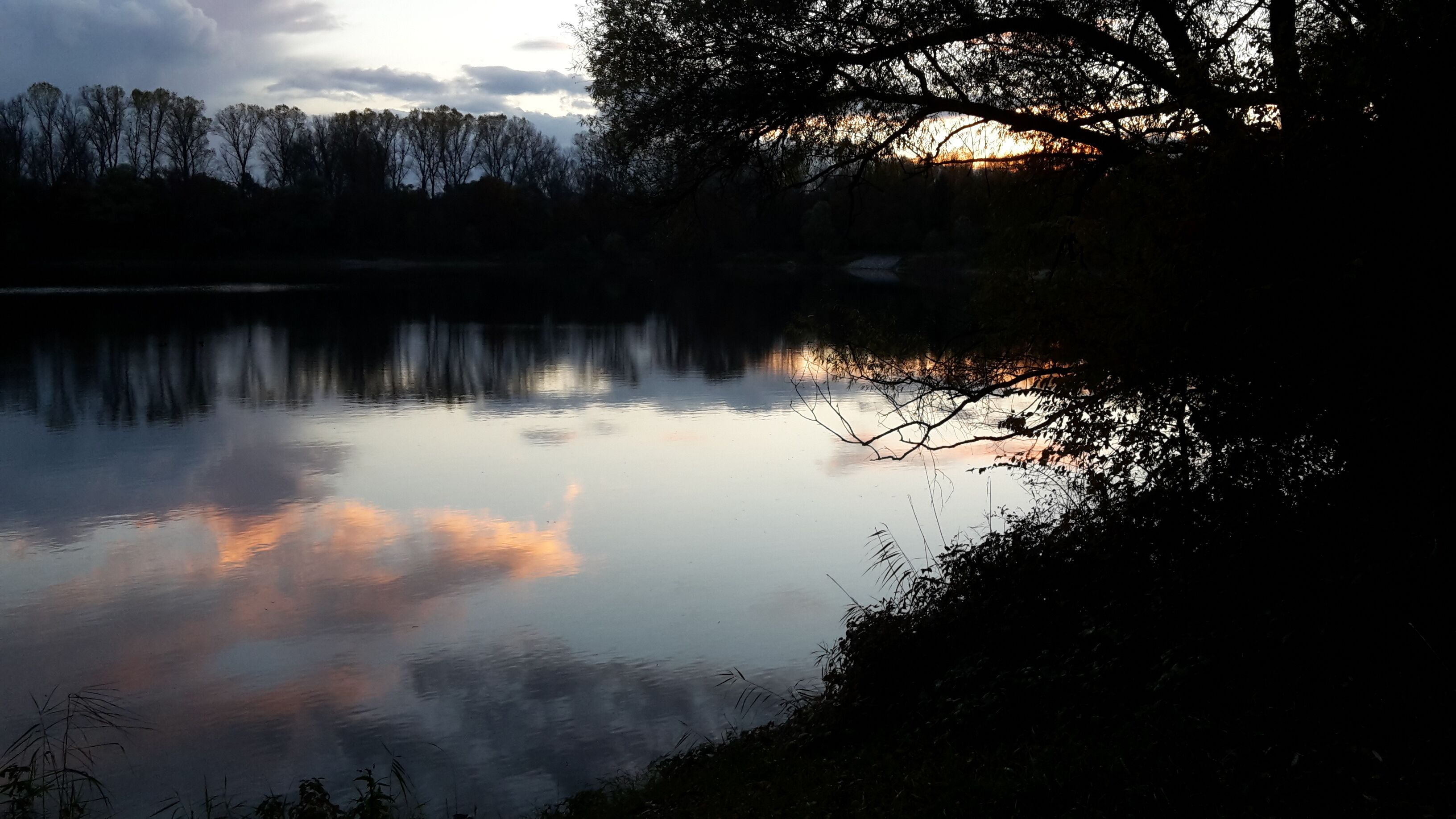 Der Anglersee liegt in den Schwetzinger Wiesen. Er ist ein Pachtgewässer und wird von einem Verein gepflegt.