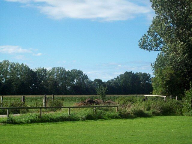 A fenced field with a pile of hay, surrounded by trees and a clear sky.