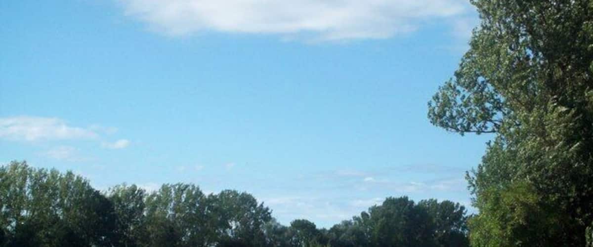 A fenced field with a pile of hay, surrounded by trees and a clear sky.